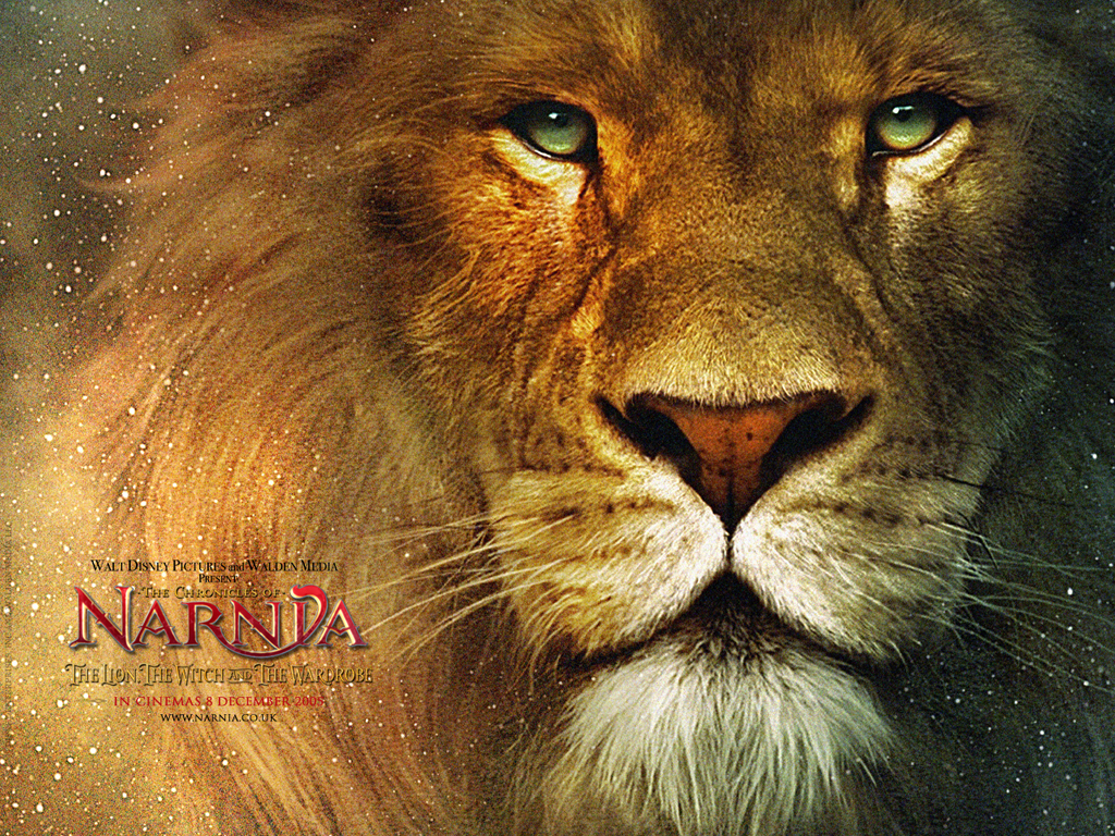 Aslan The Lion From Chronicles Of Narnia Movie Desktop