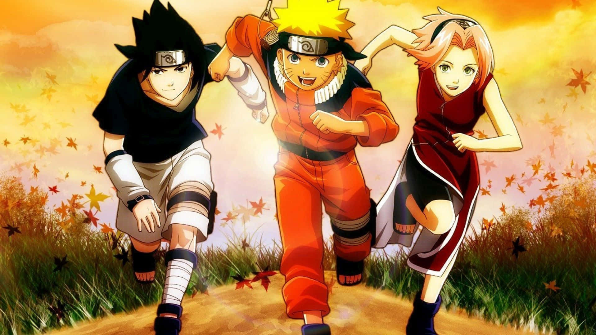 Team Naruto Running In Grass Field Wallpaper