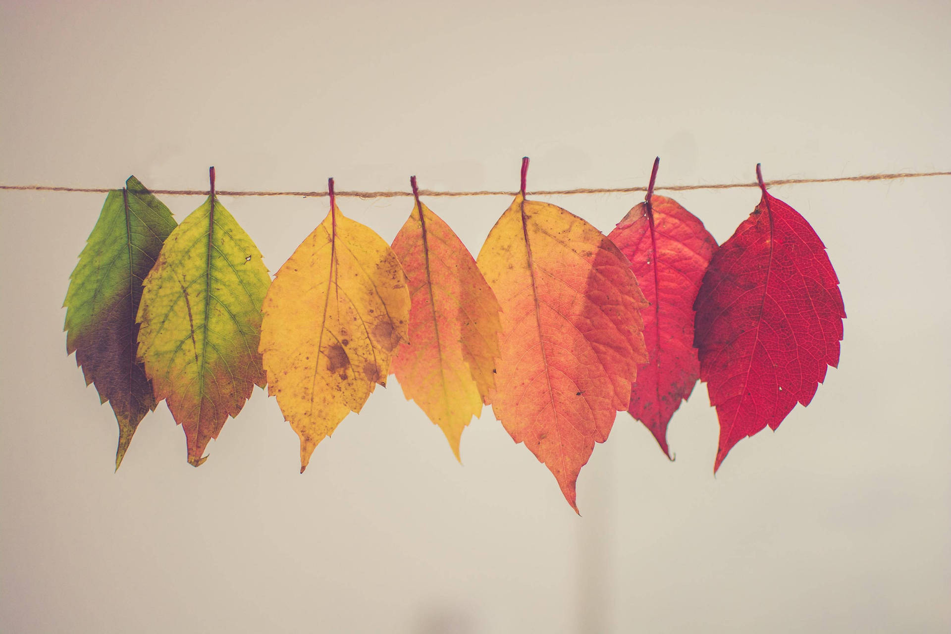 Cute Fall Wallpaper