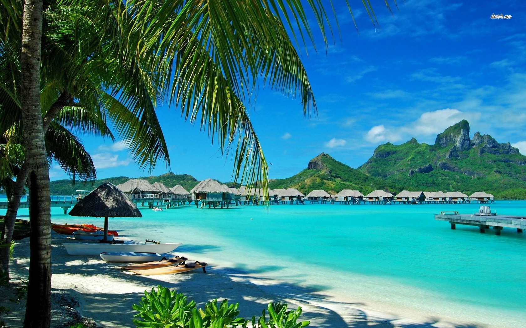Hawaii Beach HD Wallpaper 2026 Wallpaper computer best website