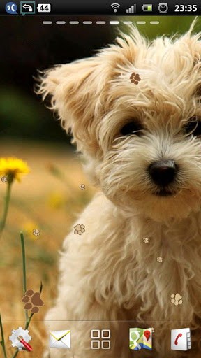 Cute Puppy Live Wallpaper App For Android