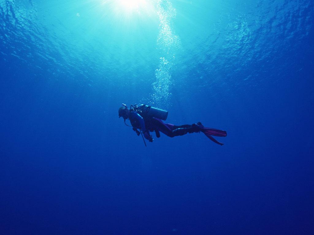Scuba Diving Wallpaper Png Transparent Best Stock Photos