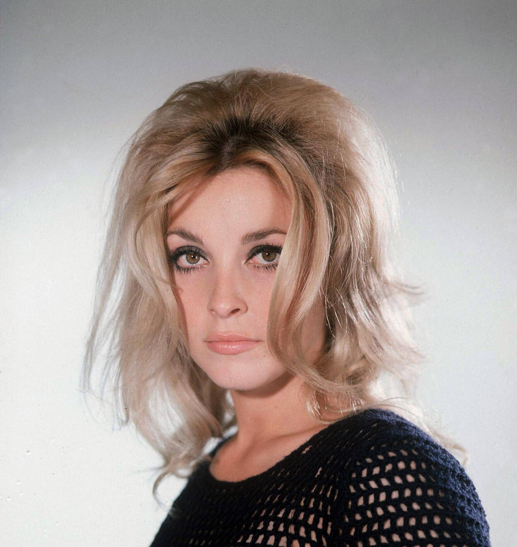 Sharon Tate Wallpaper Kostenlos En