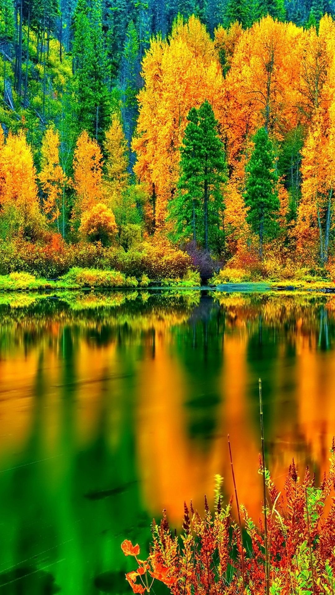 iPhone Autumn Wallpaper