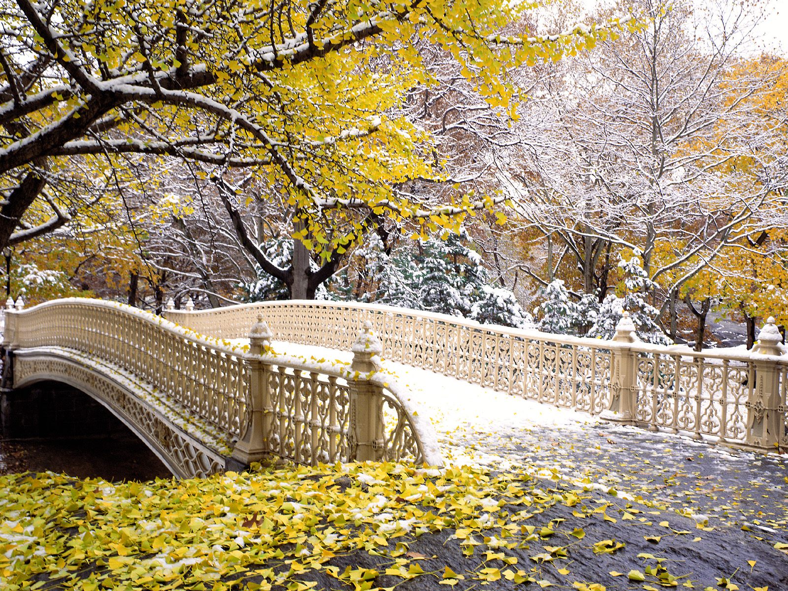 Snowfall In Central Park New York High Resolution Desktop Wallpaper