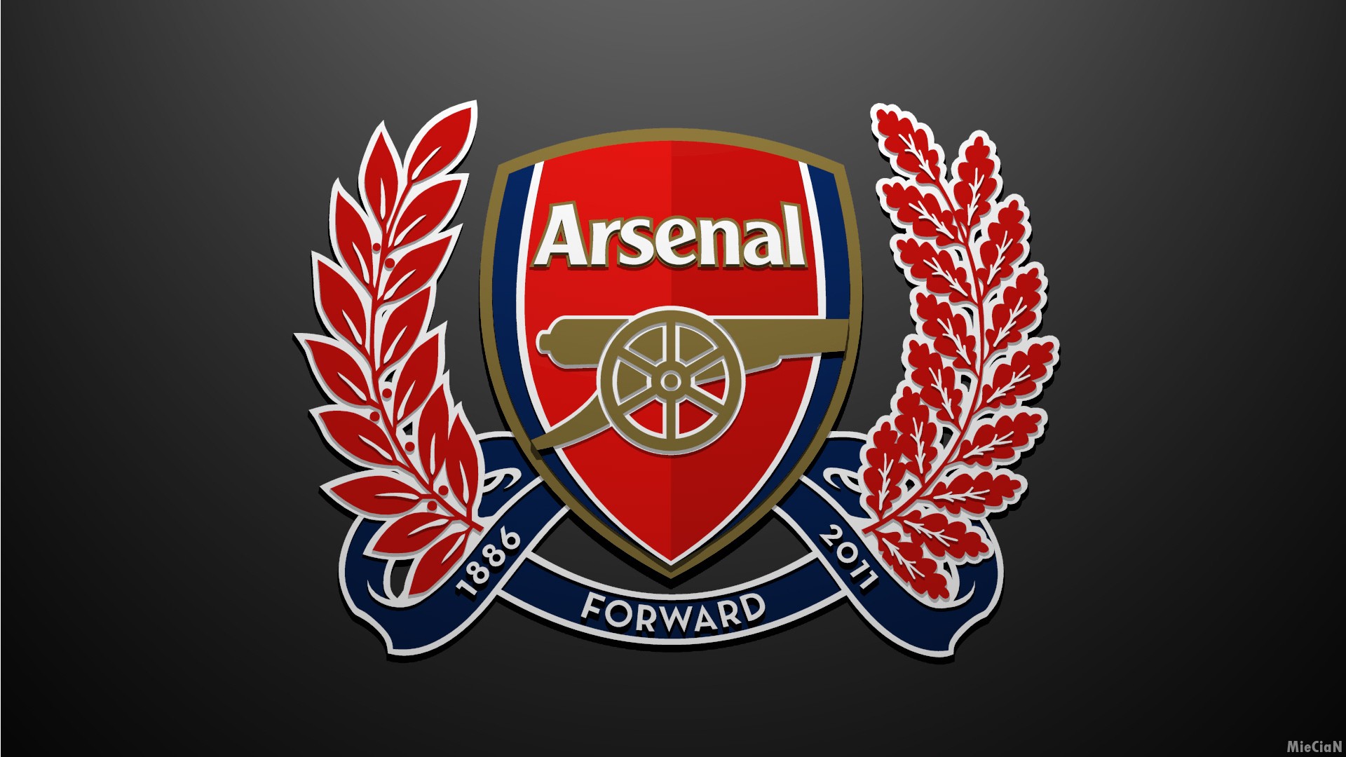 Cool Arsenal Football Club iPad Wallpaper