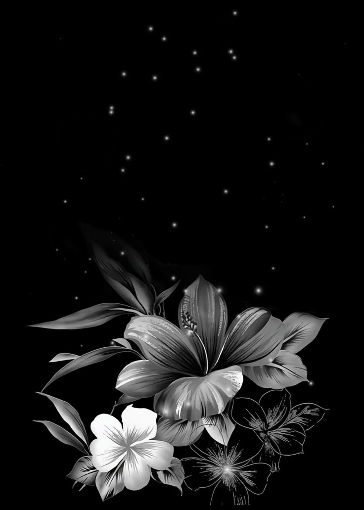 Black And White Floral Phone Wallpaper