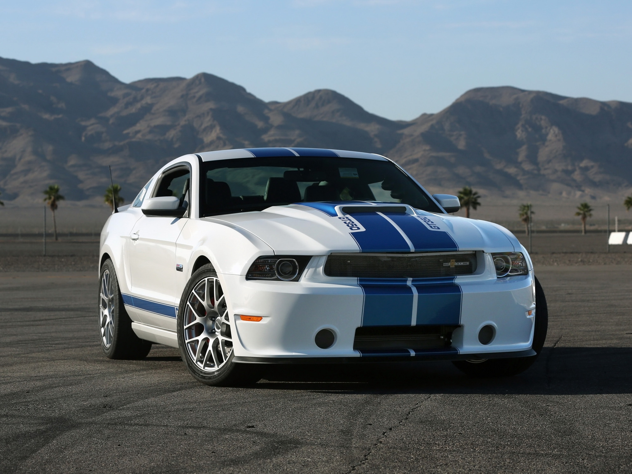 Shelby Gt350 Ford Mustang Muscle V Wallpaper