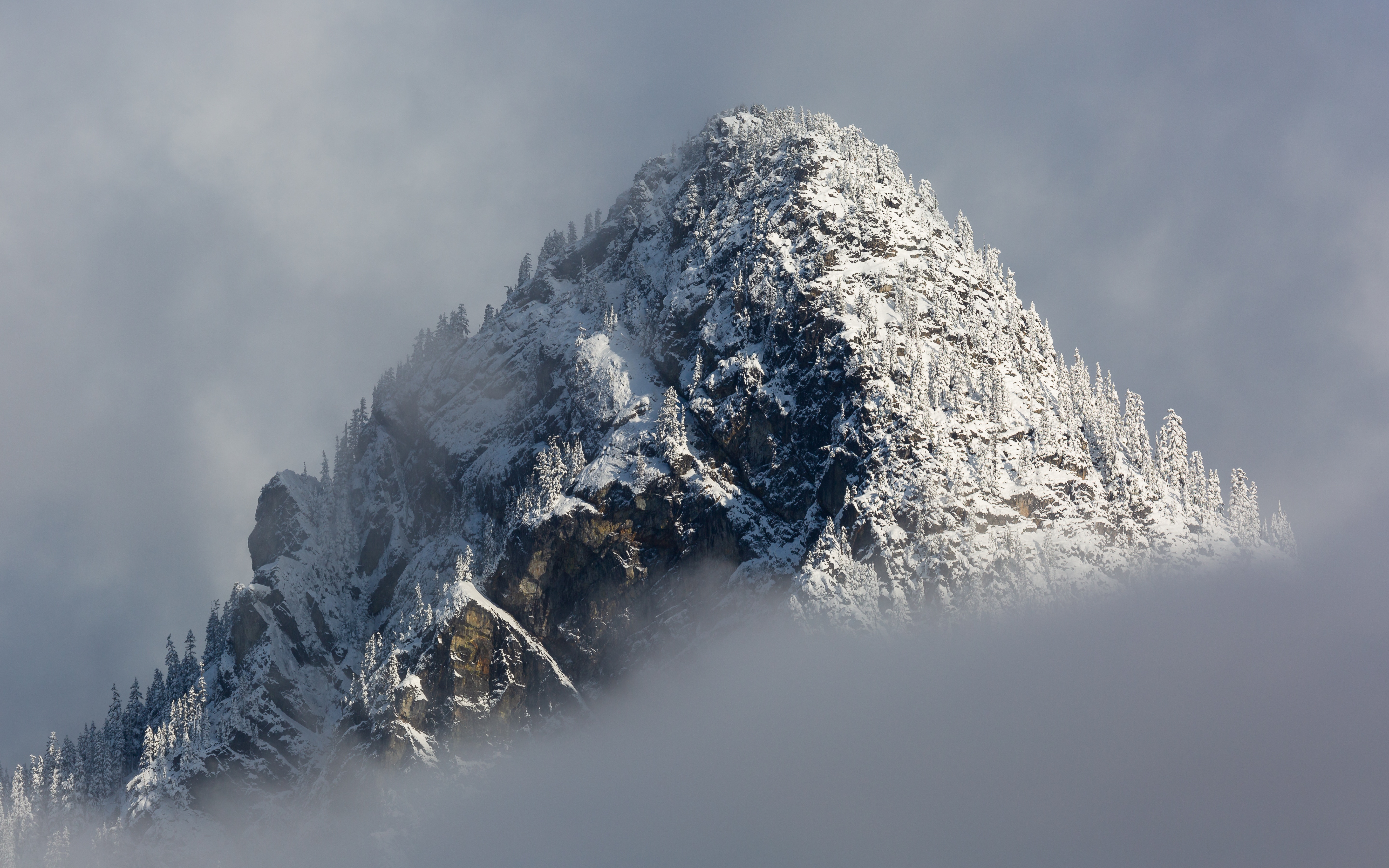 Pacific Northwest Wallpaper And Background