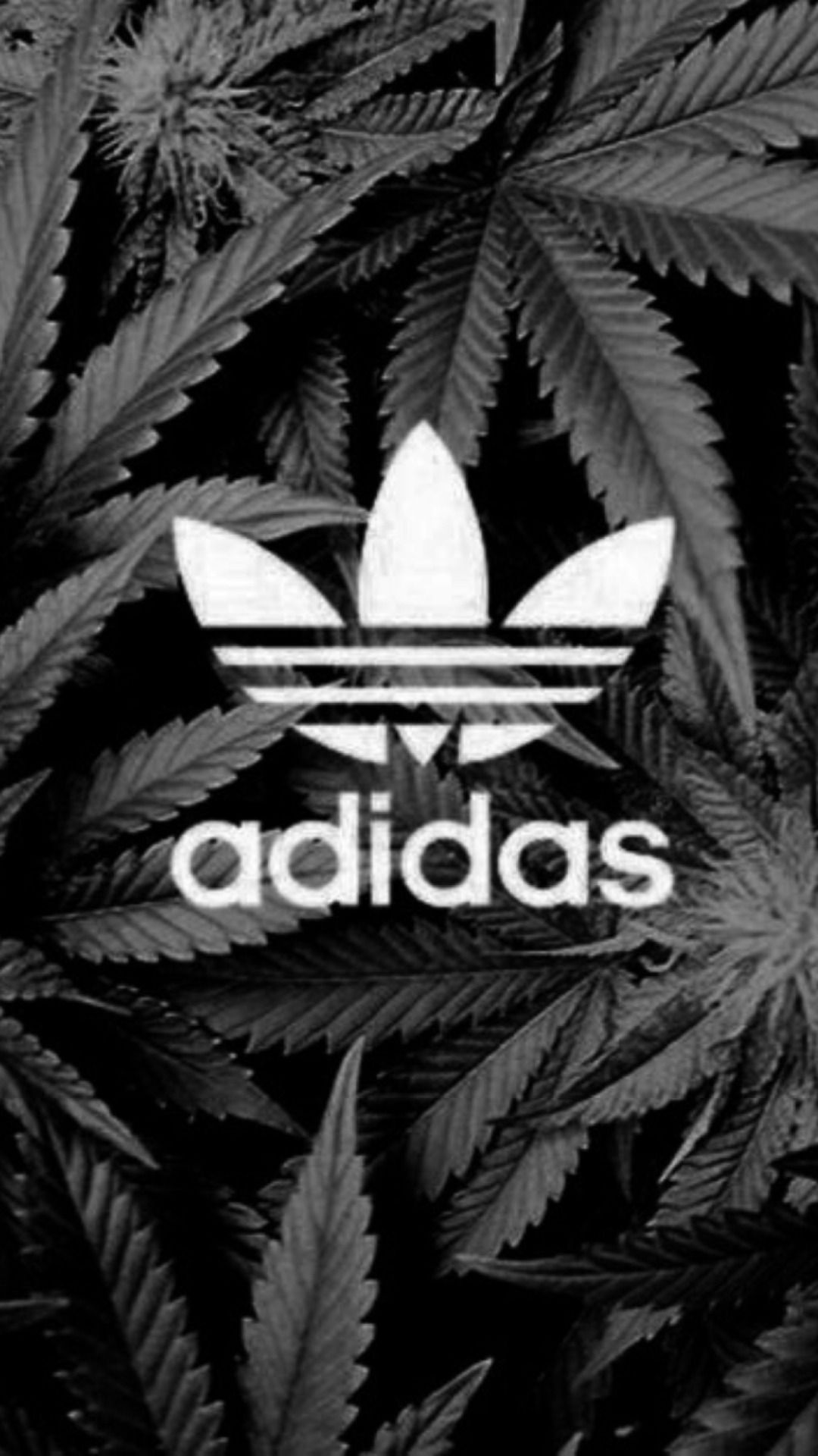 iPhone Wallpaper Adidas
