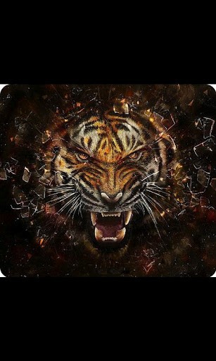 Bigger Abstract Tiger Wallpaper For Android Screenshot