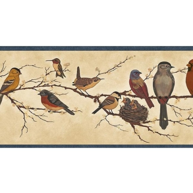Birds On Branches W Blue Edge Wall Border All Walls Wallpaper