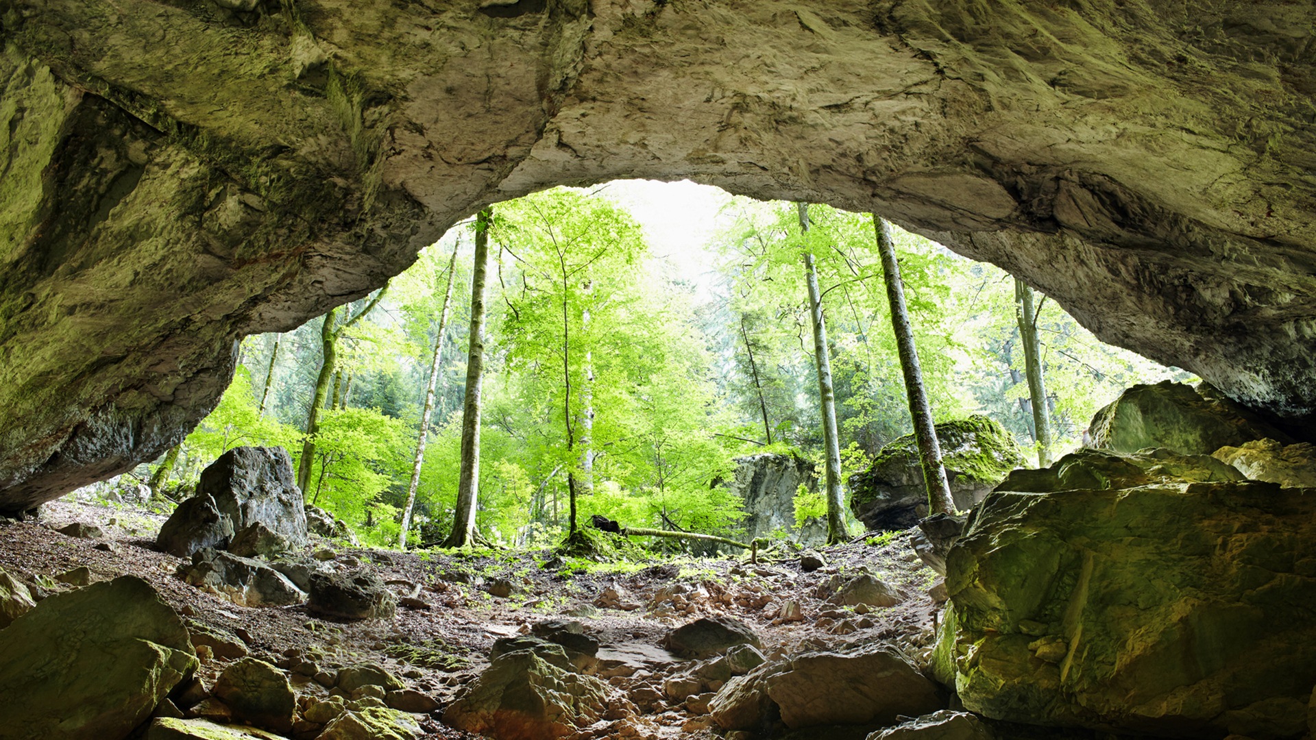 A breathtaking view from inside a cave, showcasing lush green forest beyond the cave entrance