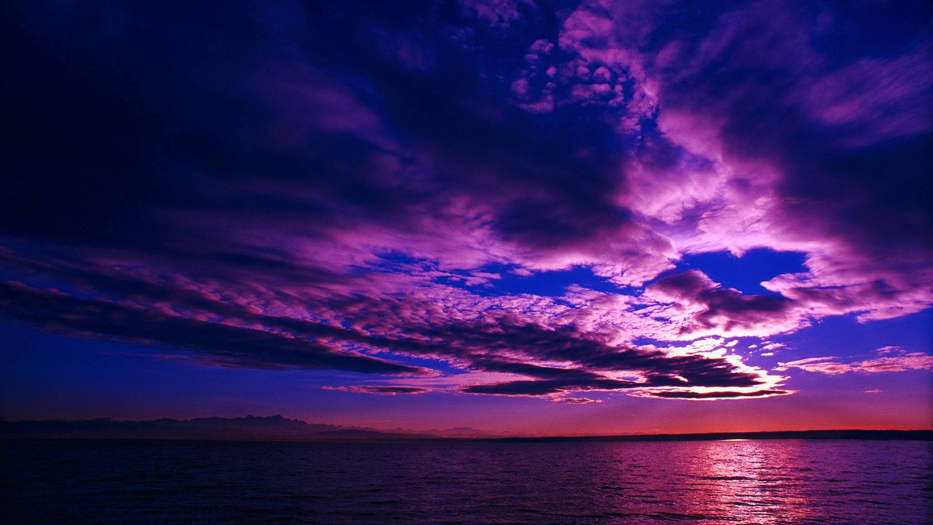 Purple Night Sky Wallpaper