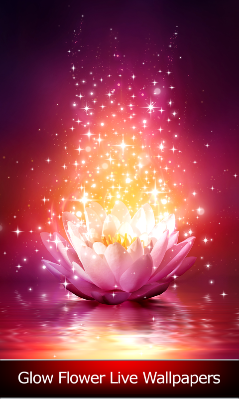Glow Flower Live Wallpaper App For Android