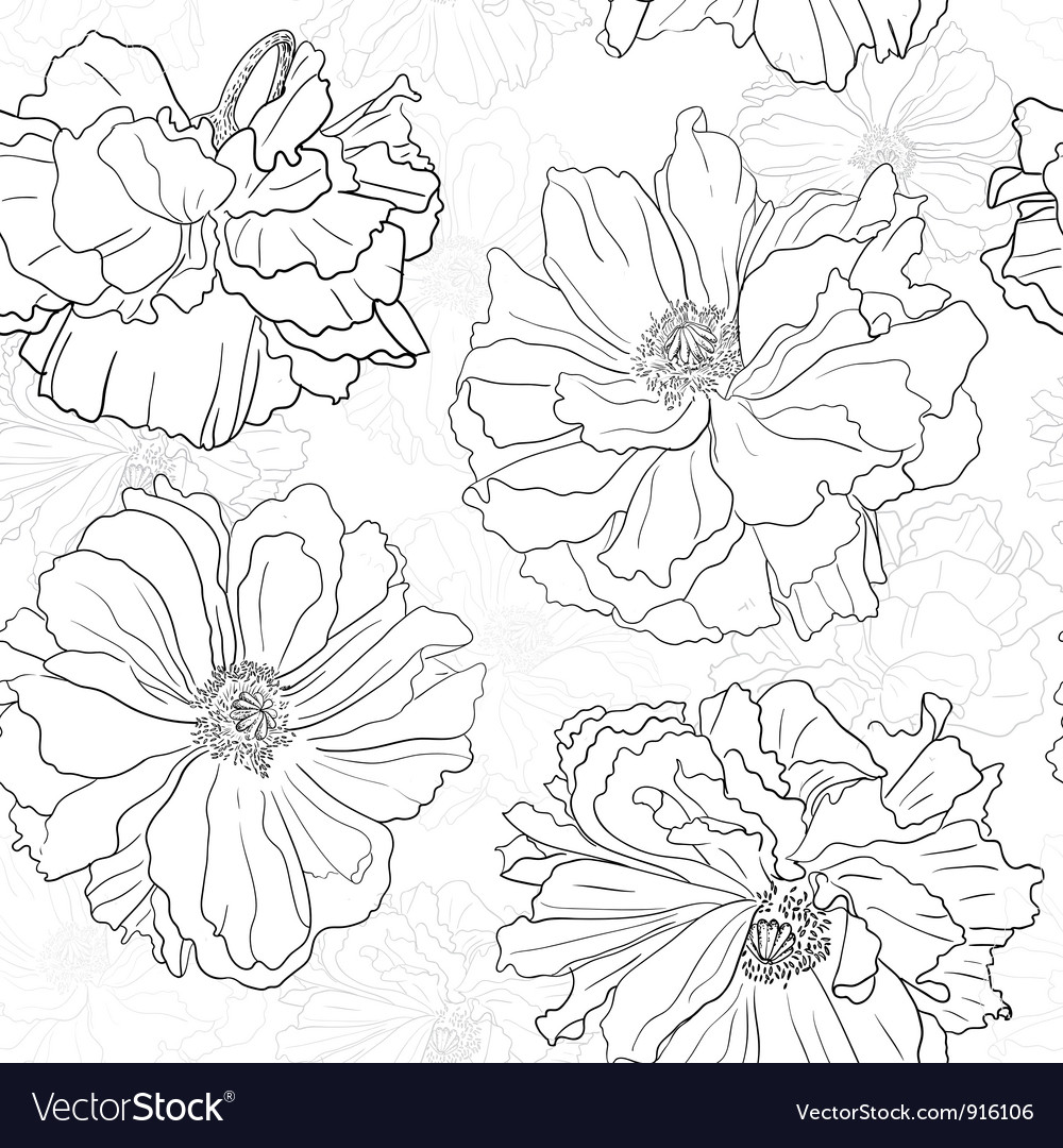 Hand Drawn Floral Wallpaper With Poppy Flowers Vector Image