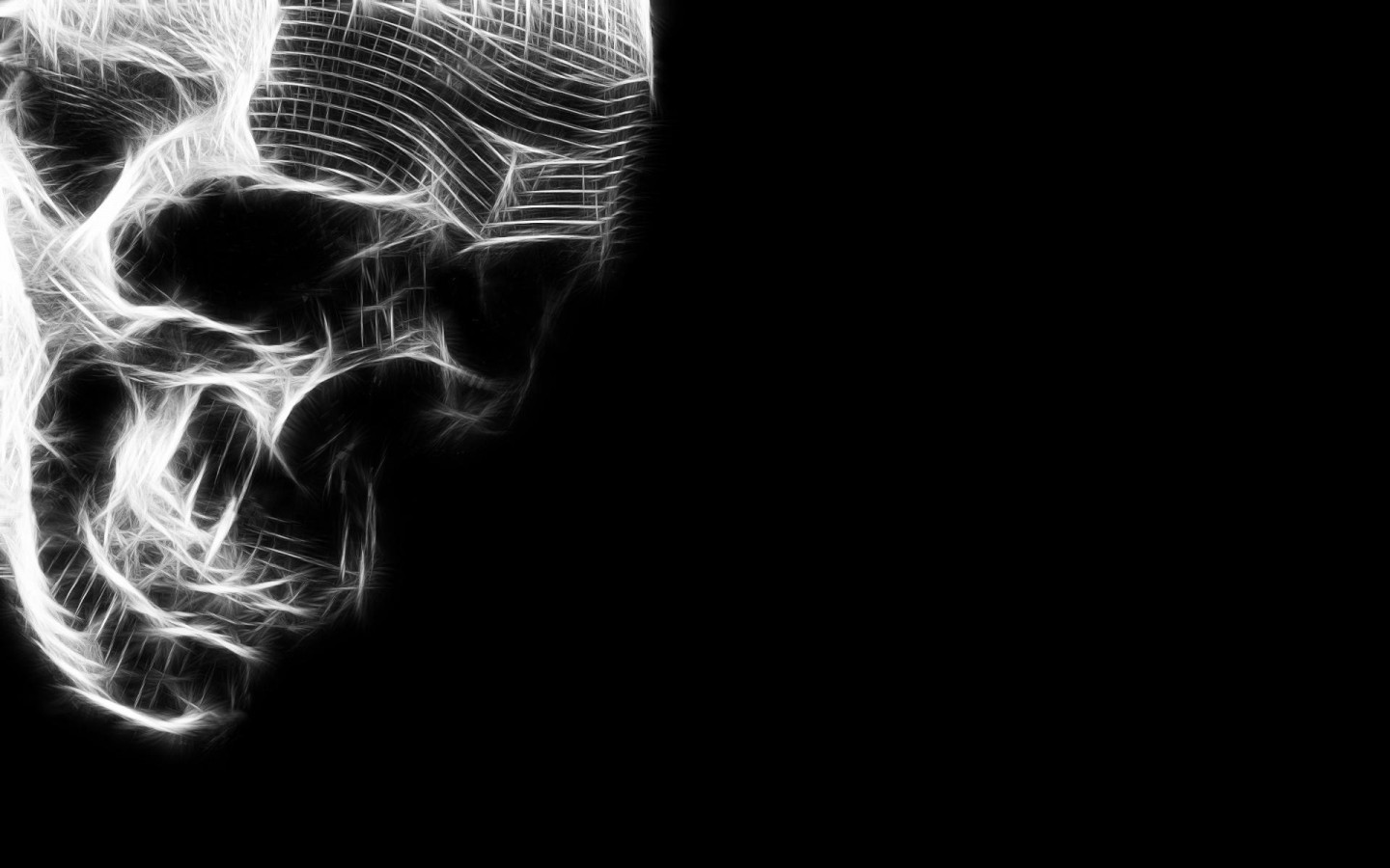 Background Texture Photo Skull On Black