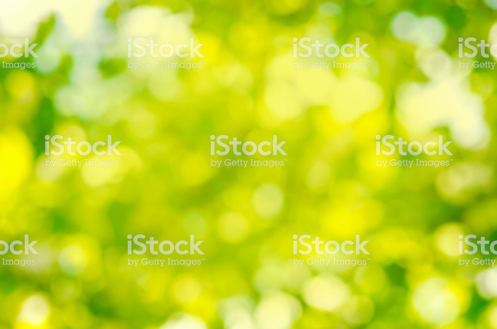 Green Blurred Background Natural Stock Photo