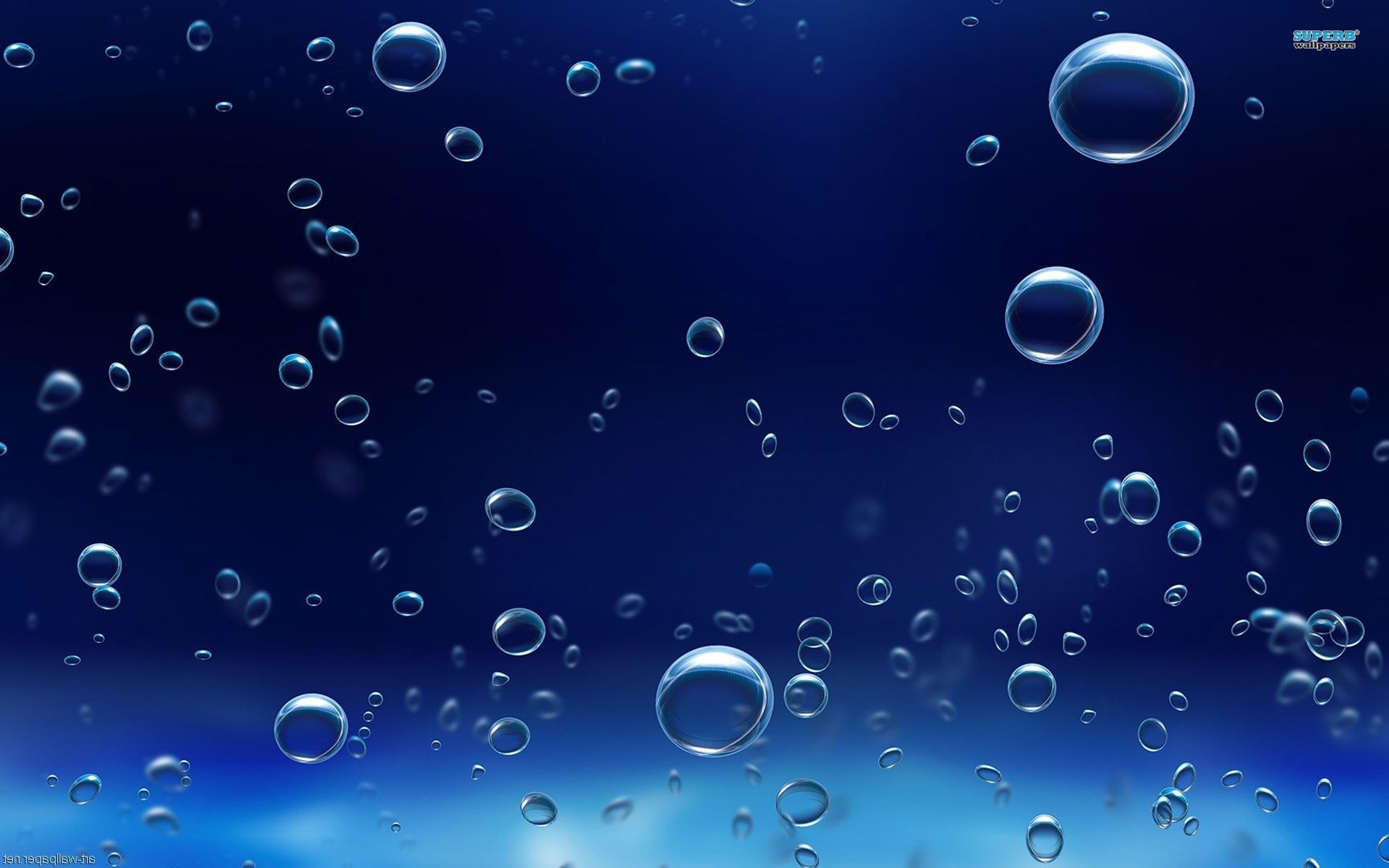 Bubbles on a blue background wallpapers and images   wallpapers