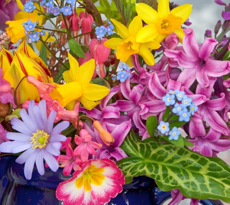 For Flower Lovers Beautiful Flowers Desktop Wallpaper Background