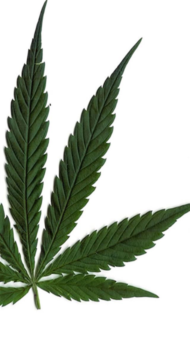 Marijuana Leaf iPhone Wallpaper S 3g