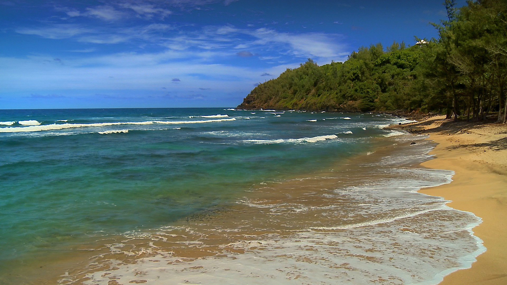 hawaii photos background screensaver beach beaches media 1920x1080