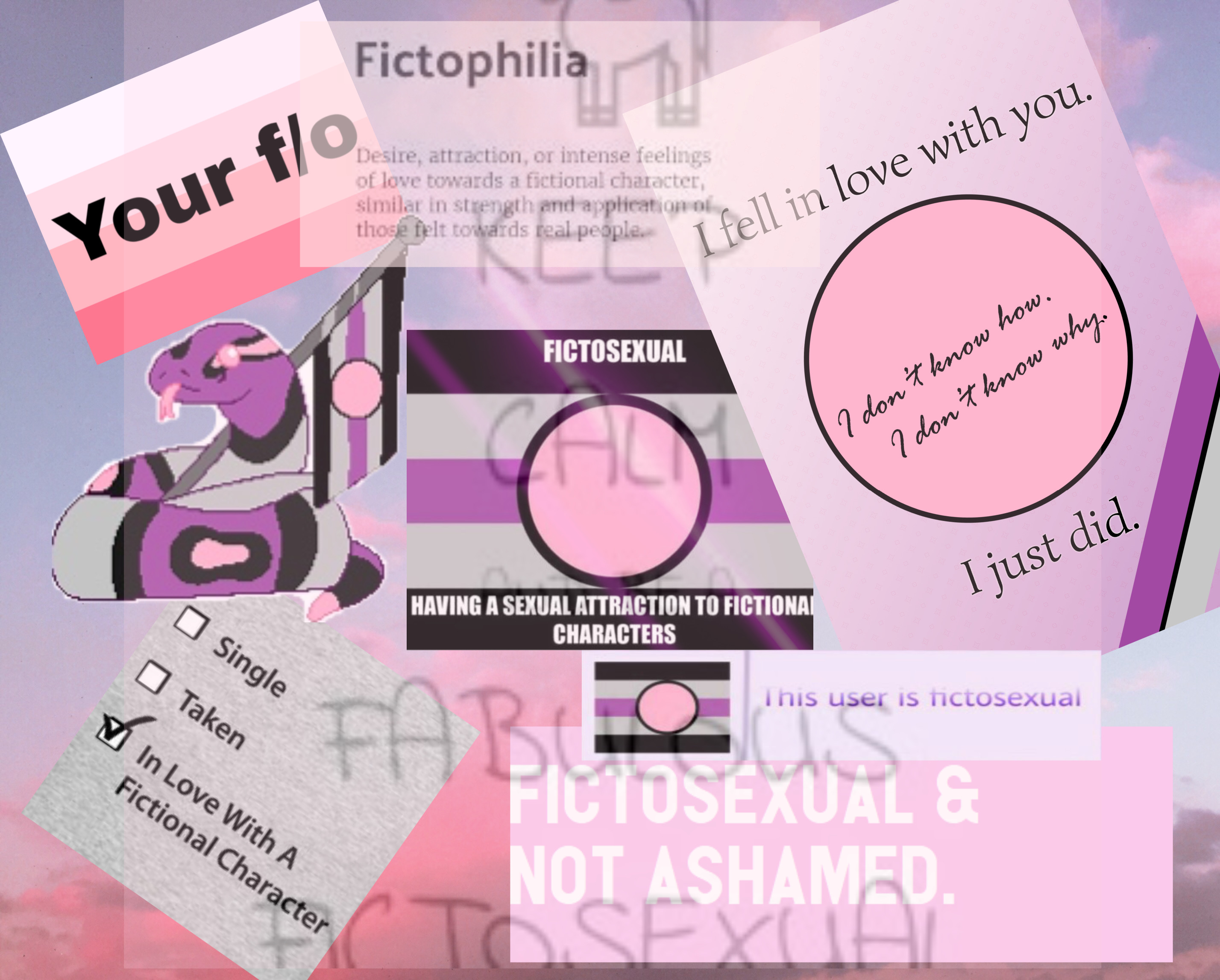 Fictosexual Fictionalcrush By L S R