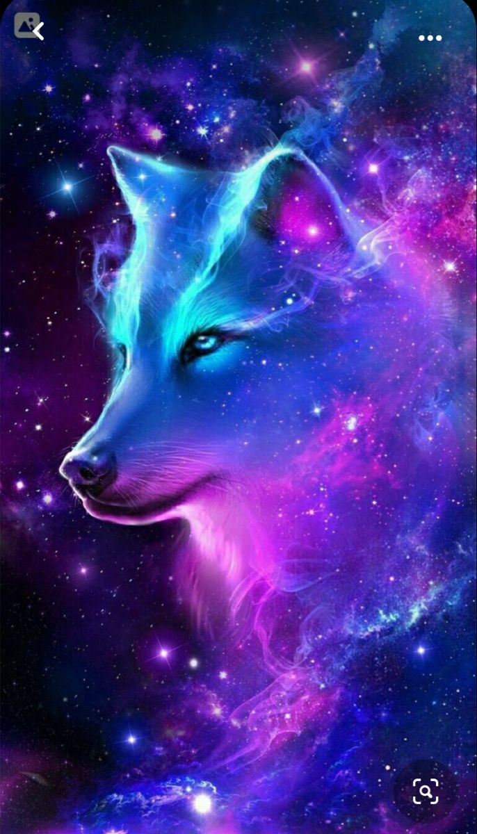 Galaxy Animals Wallpaper