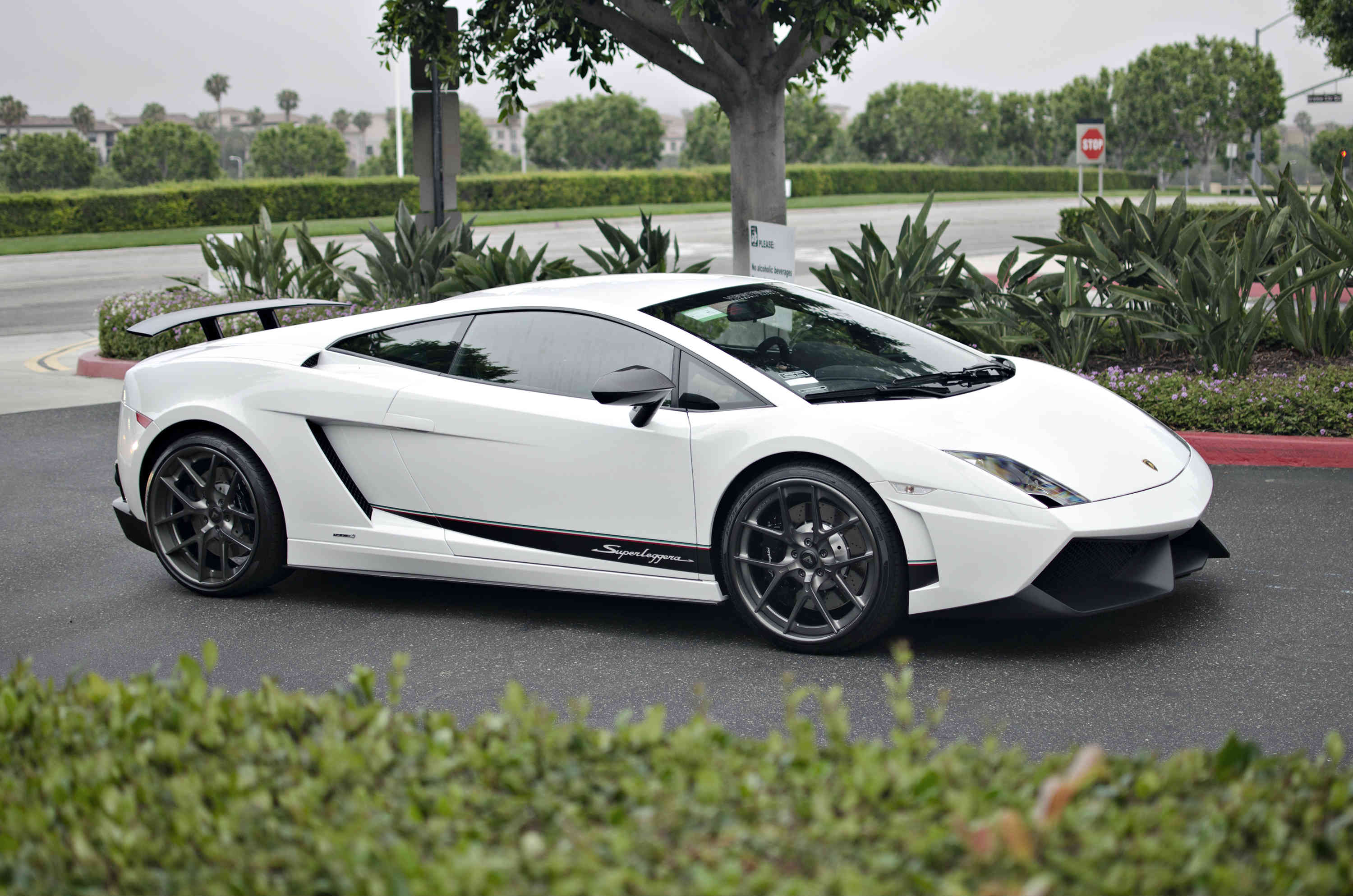 White Lamborghini Gallardo Car HD Wallpaper