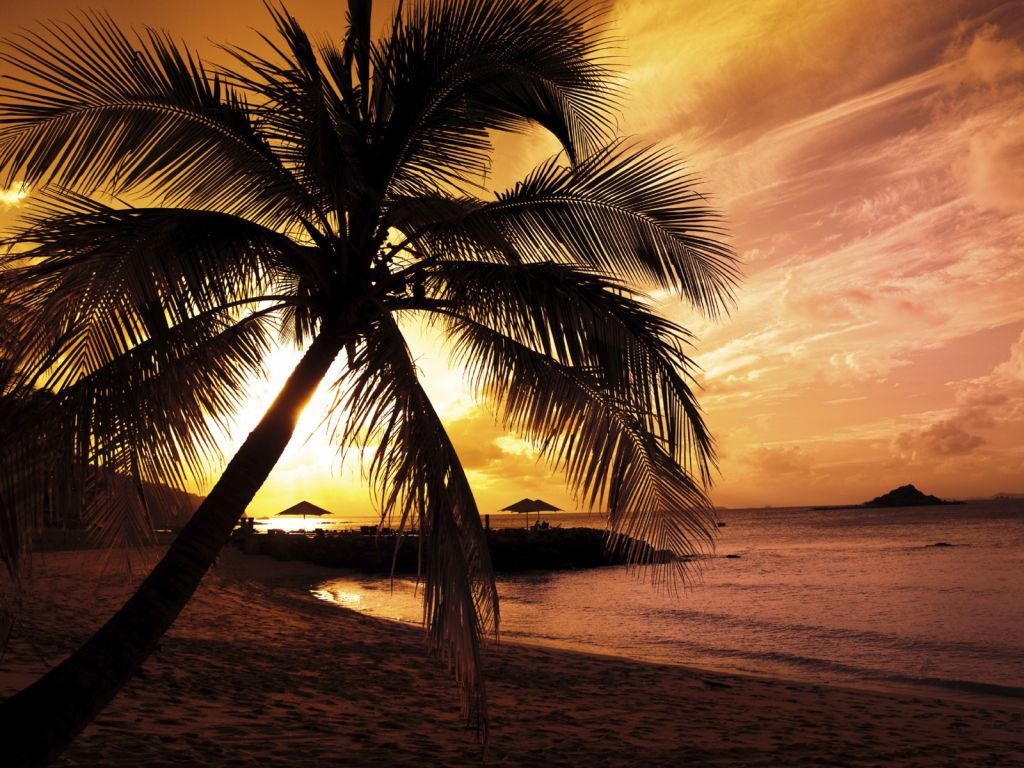 Tropical Sunset 1024x768 Wallpapers 1024x768 Wallpapers Pictures
