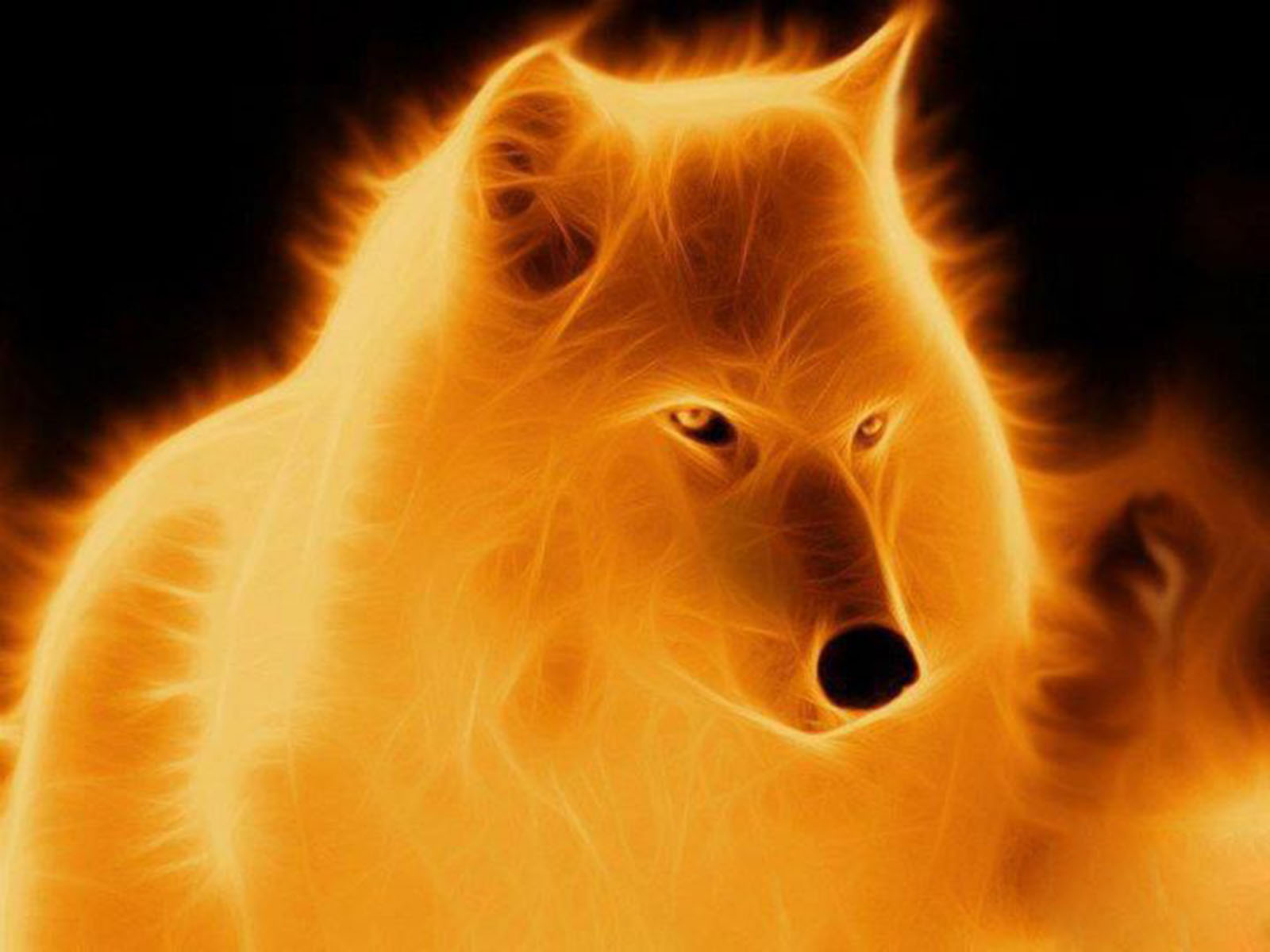 Fire Wallpaper Theme Lone Wolf for Android - Download | Cafe Bazaar
