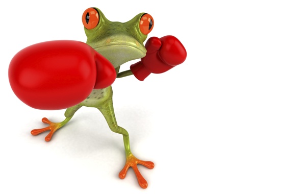 Wallpaper Frog 3d Graphic Arts Boxing Gloves