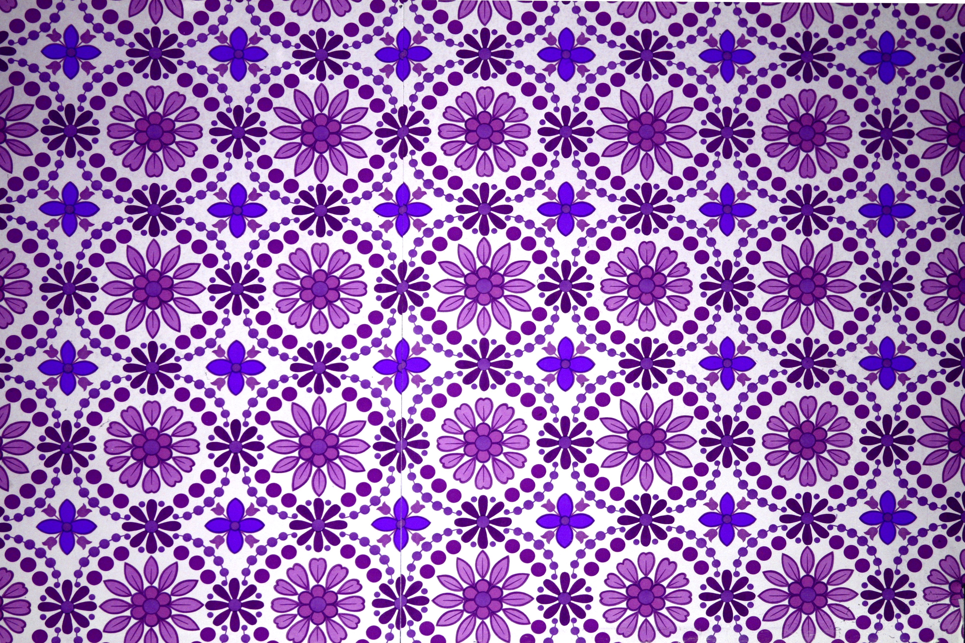 Purple Flowers Wallpaper Texture High Resolution Photo