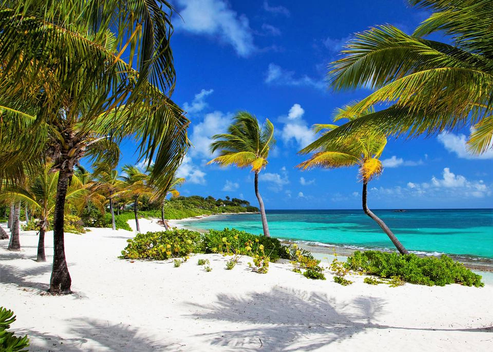 Serene Beach Vacation At Tropical Resort Wallpaper