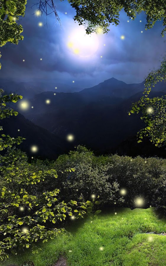 Freapp Fireflies Live Wallpaper Is