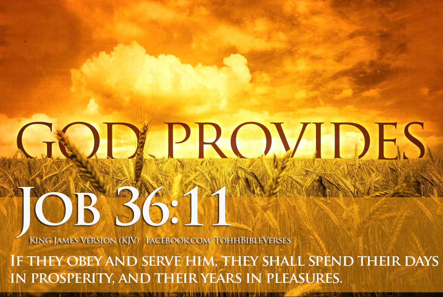 Download HD Bible Verses Wallpaper Prosperity Job 3611 1500x1006