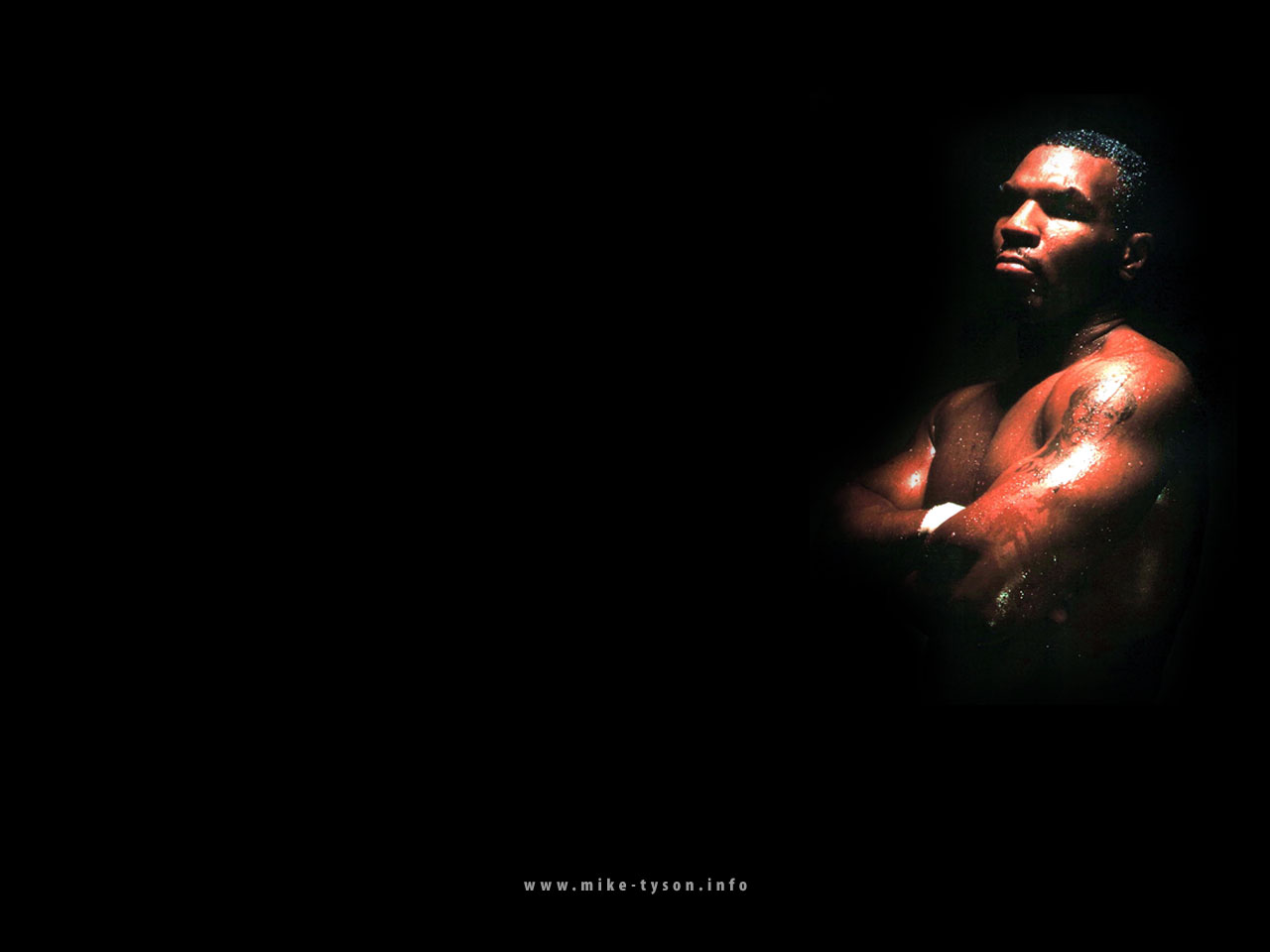 Mike Tyson Wallpapers and Backgrounds  WallpaperCG