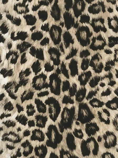 Off White Leopard Print Wallpaper Lodge Outdoors