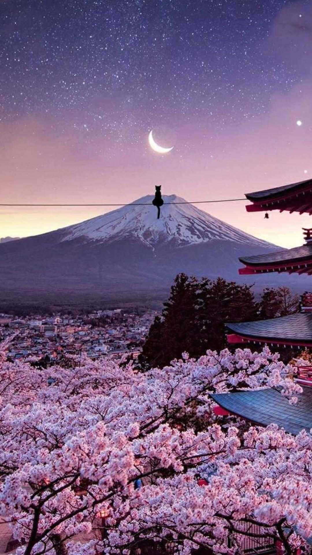 Japanese Art Wallpaper