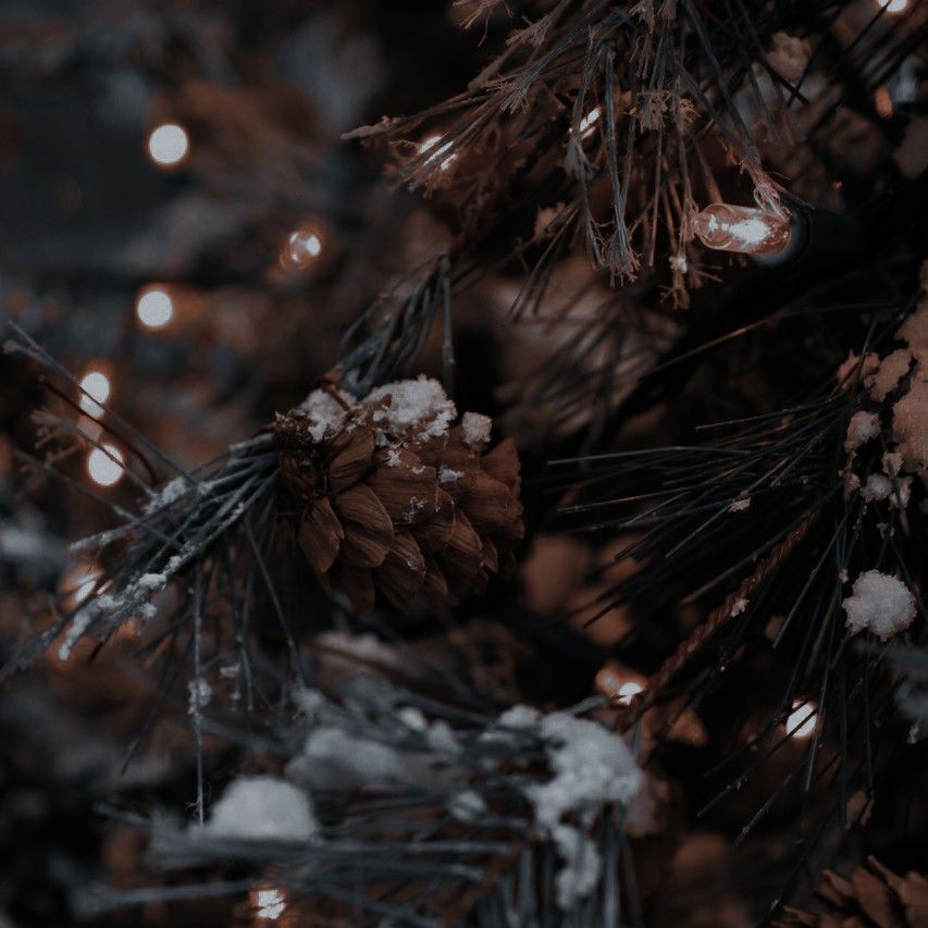 Creepy Christmas Dark Merry To All Wallpaper