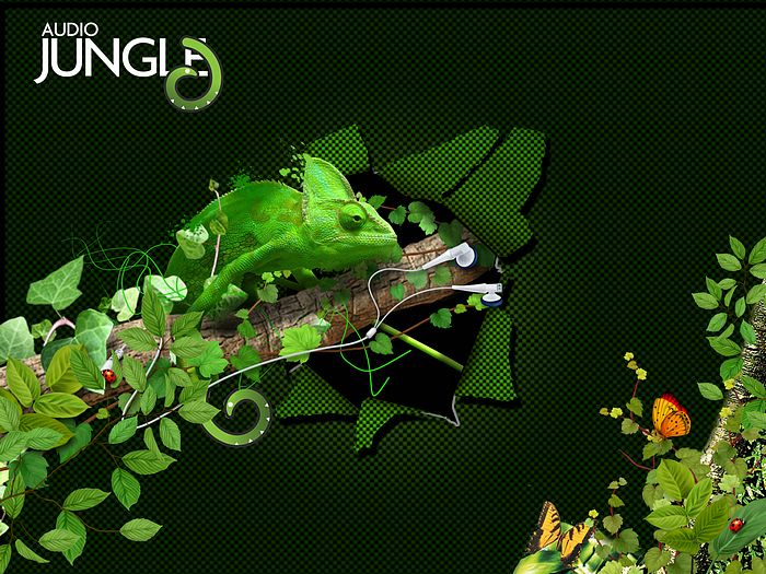  Jungle Creative Designs   Audio Jungle Creative Design Wallpaper 20