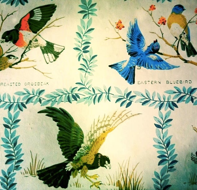 Spring Birds Wallpaper Bird wallpaper