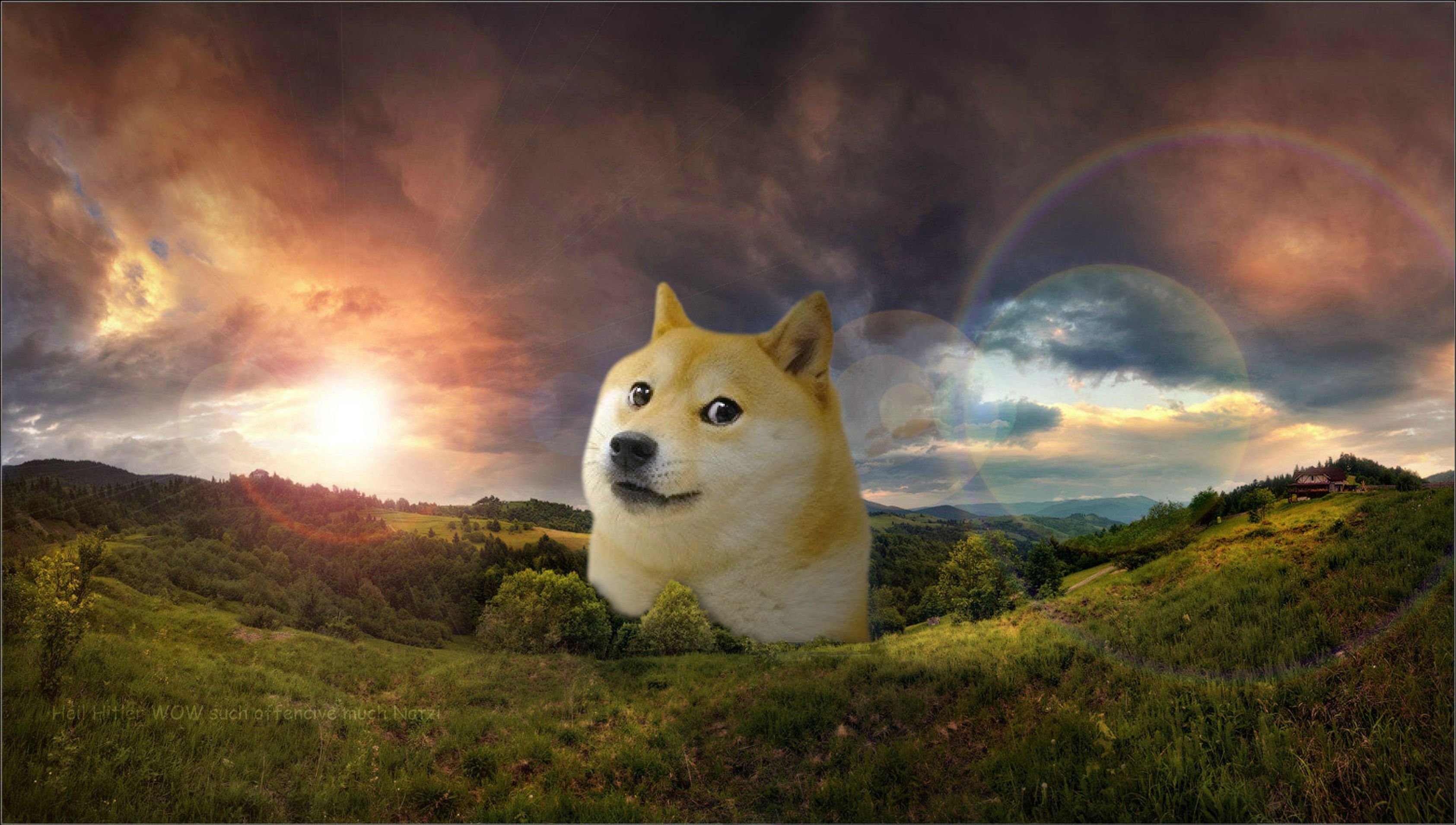 friend of mine asked me to make him a doge wallpaper Little does he