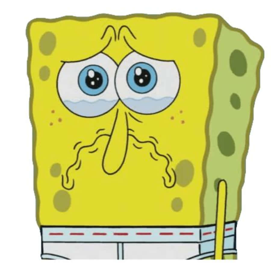 Spongebob Crying Wallpaper