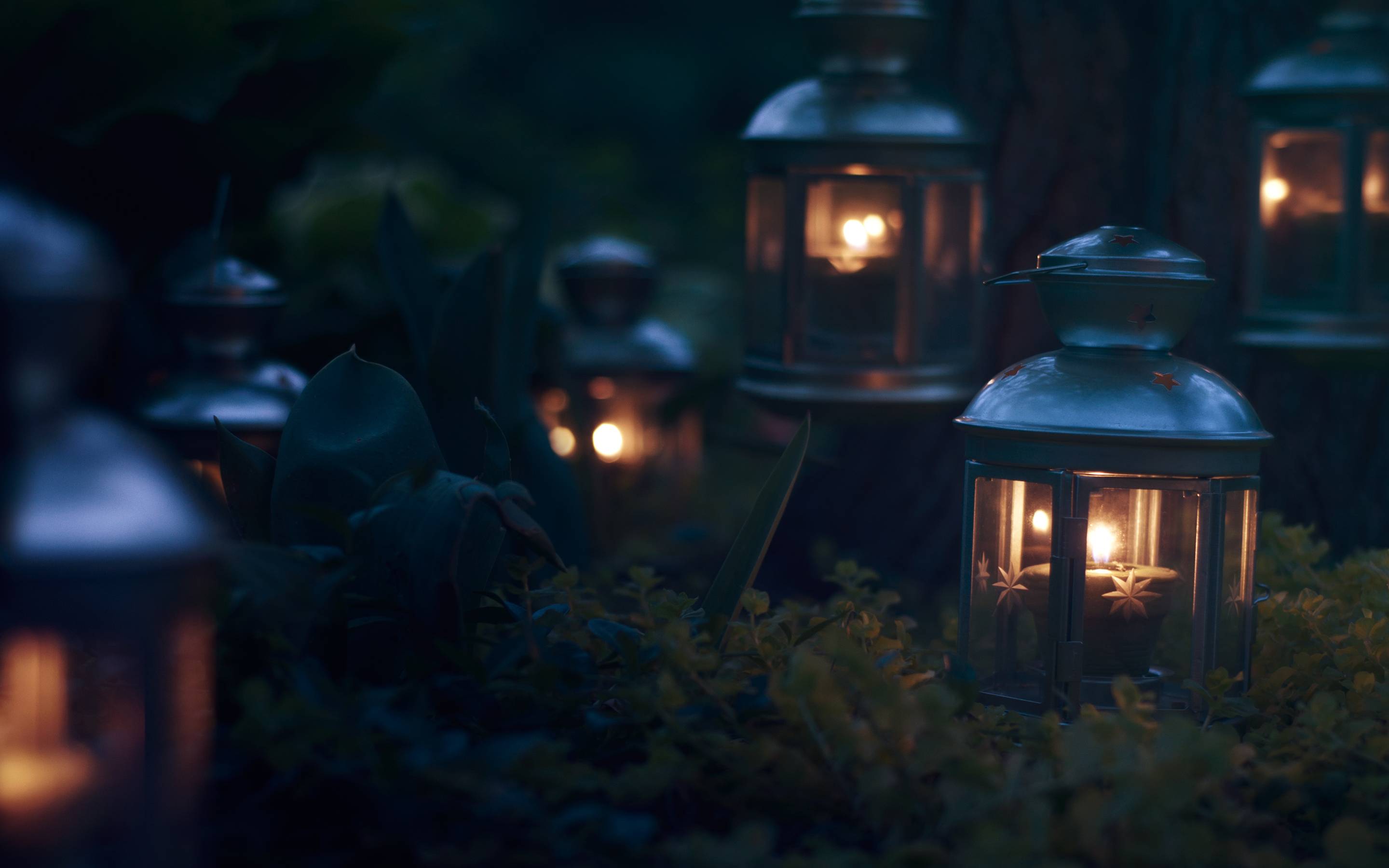 Lantern Wallpaper