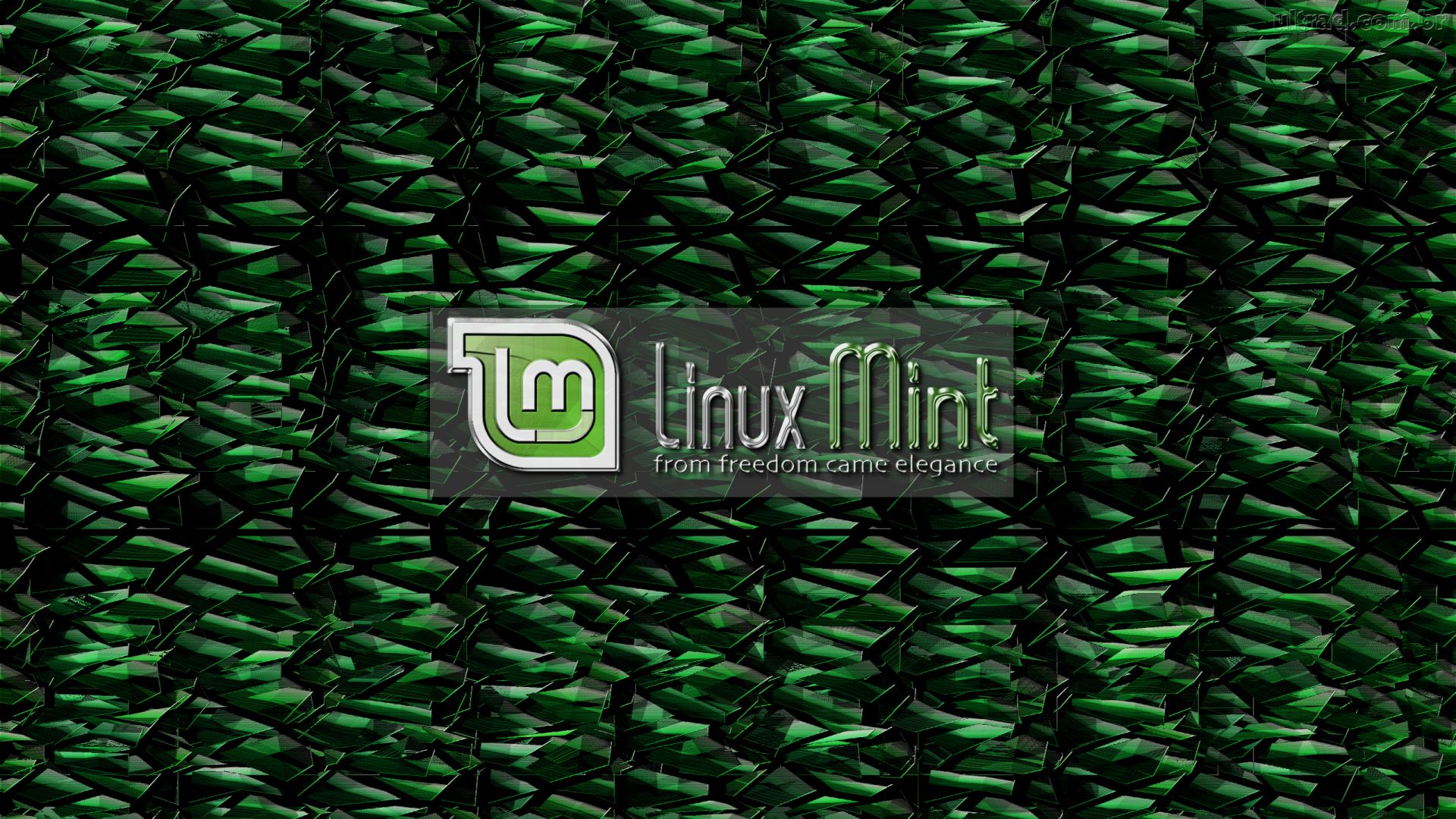 Linux Escamas Verdes Elegancia Liberdade Parede Wallpaper Papel