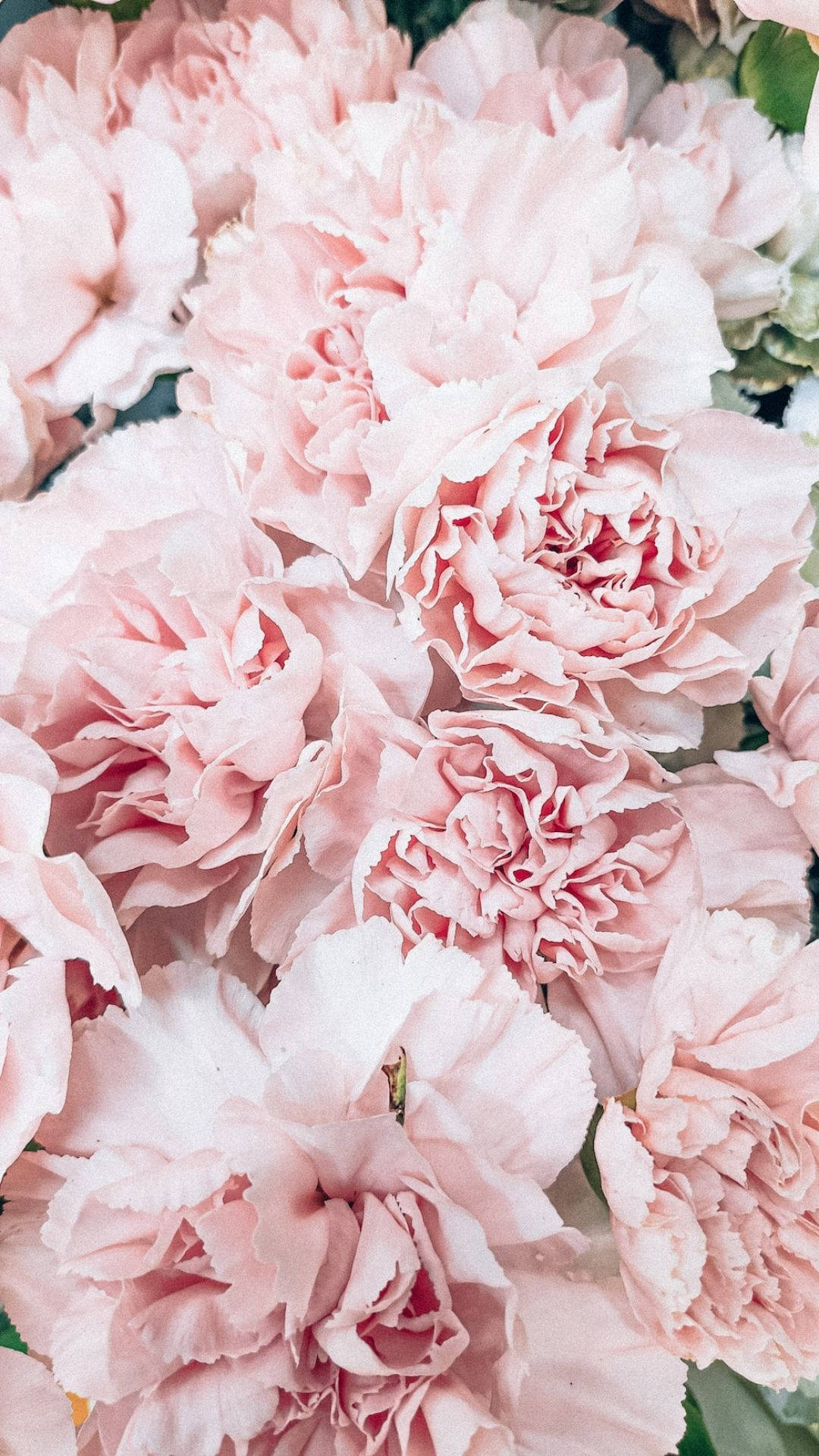 Aesthetic Pink Wallpaper