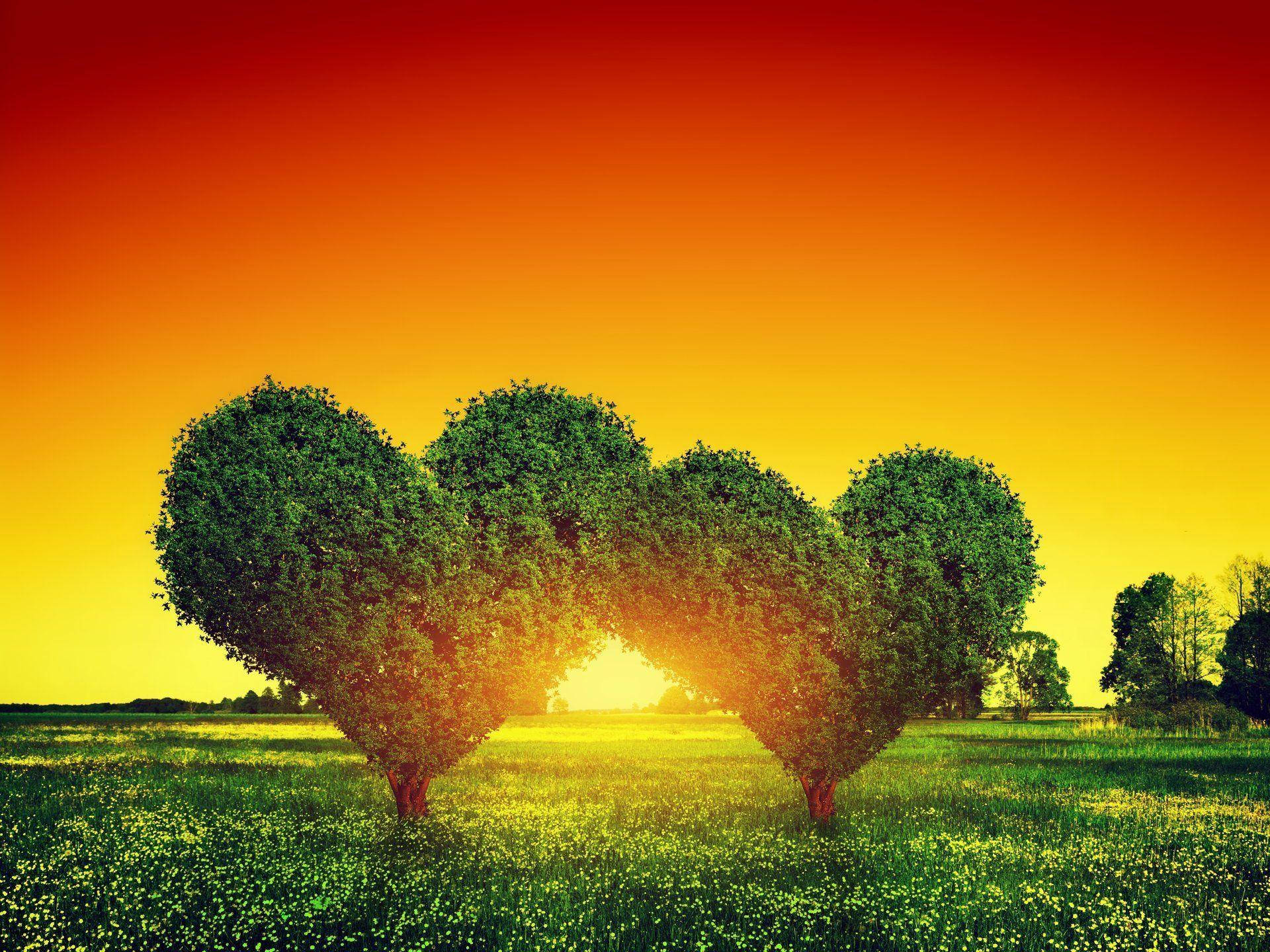Nature Love Wallpaper