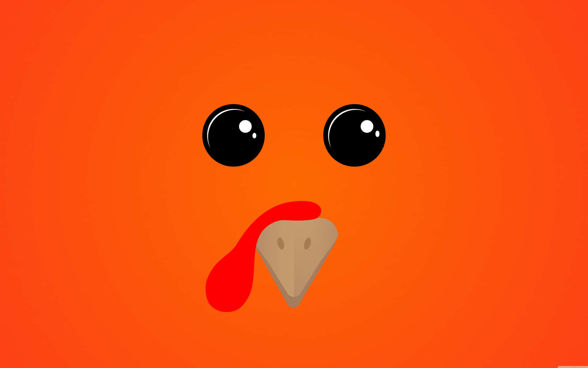 Cute Thanksgiving Background Wallpaper