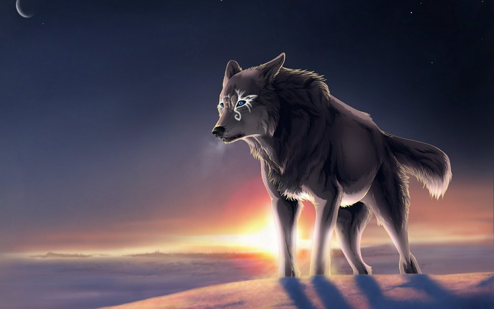 White Wolf Painting  4K HD Desktop Wallpaper for 4K Ultra HD TV    Fotos de lobos Animais silvestres Animais bonitos